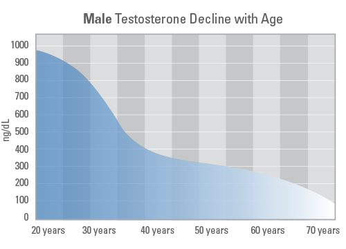 How does testosterone affect the prostate