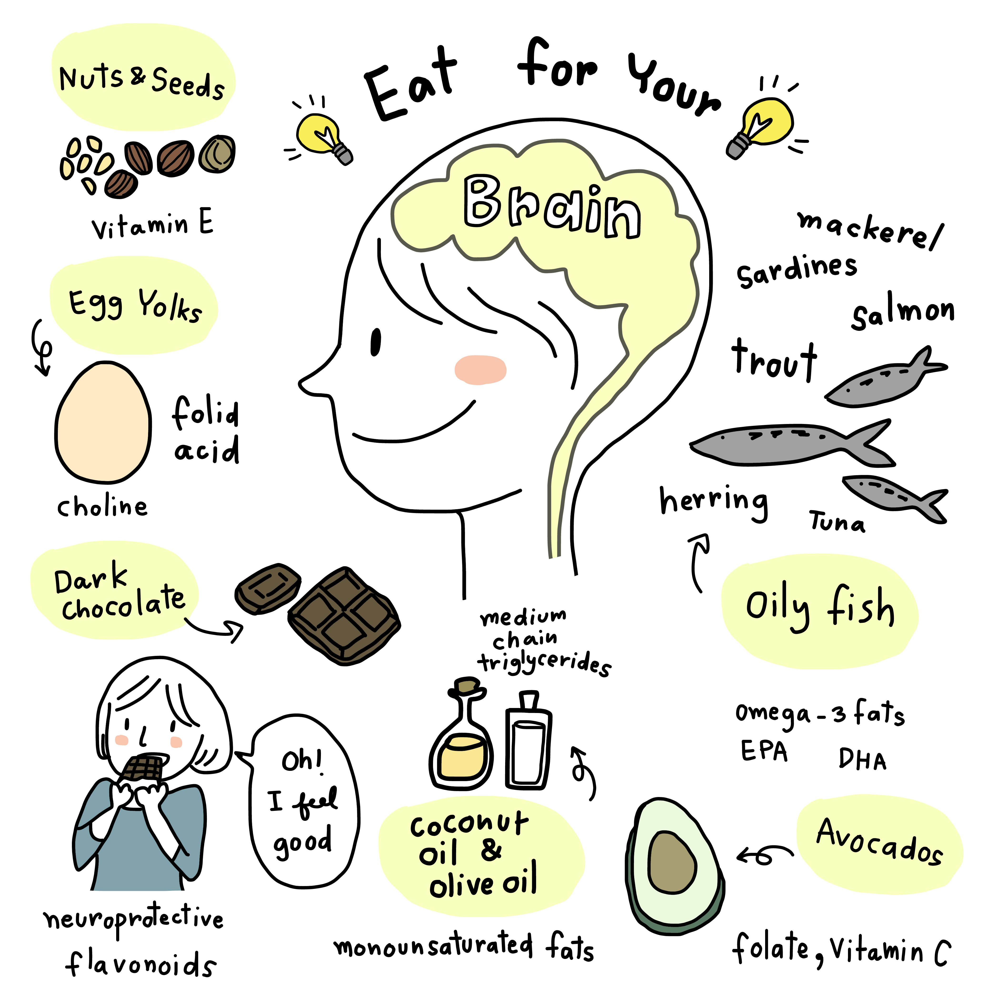 the biostation | Is Coconut Oil Good or Bad for You: AHA Brain Food